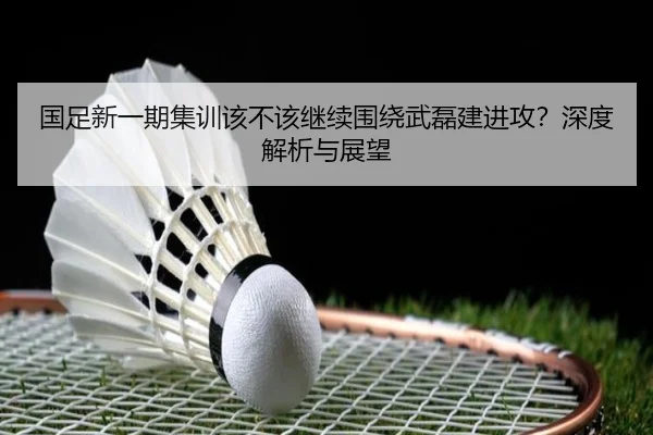 国足新一期集训该不该继续围绕武磊建进攻？深度解析与展望